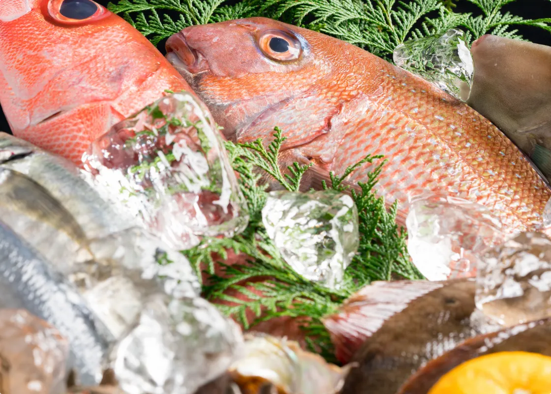 日本の四季を存分に味わう、鮮魚を主とした食材へのこだわり